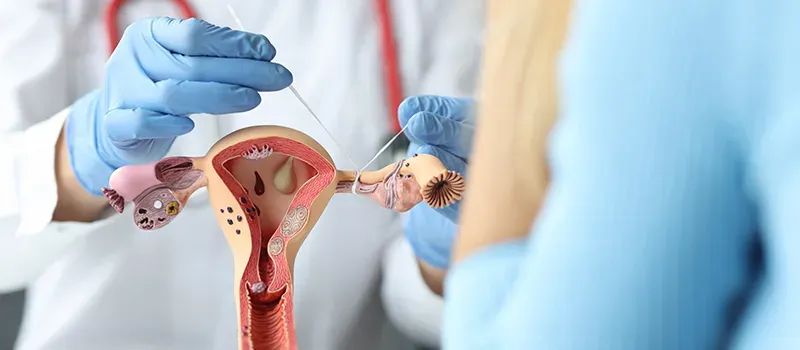 Gynecology Consultation